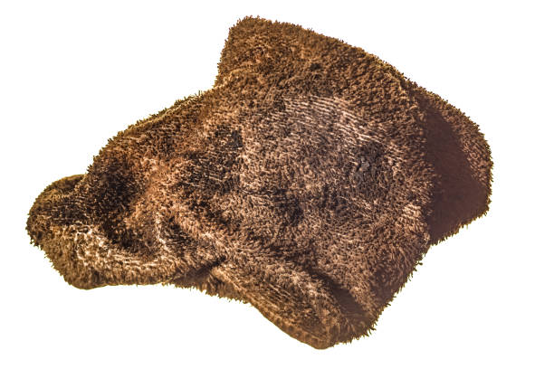 Oily rag isolated on white.