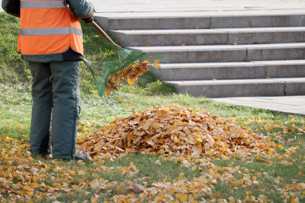 Cleaning leaves in the city park, street sweeper with rake