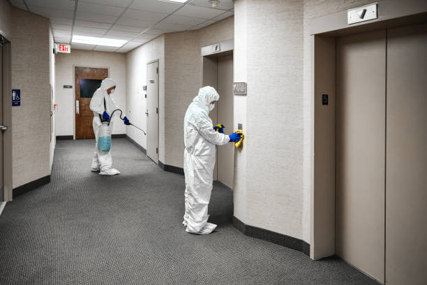 Two people in protective workwear cleaning and disinfecting offices.